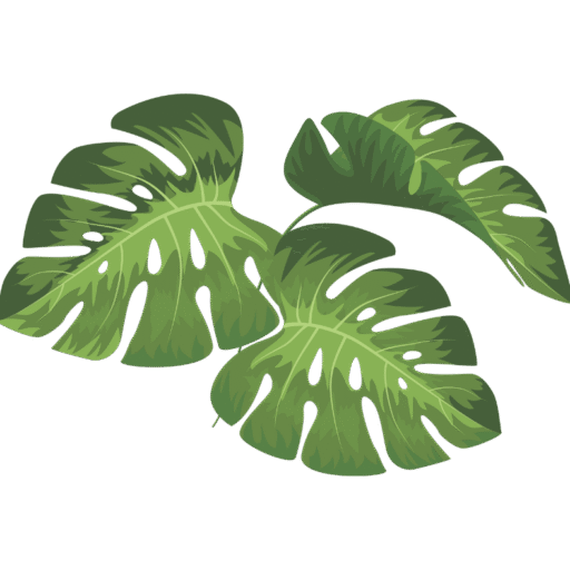 logo de Corcovado Drake tours