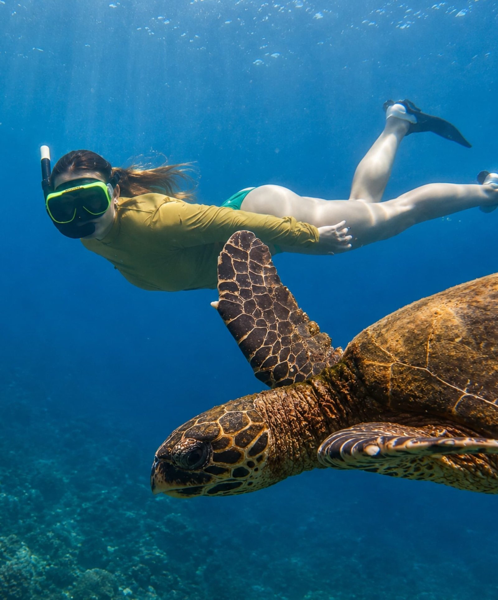 Snorkeling